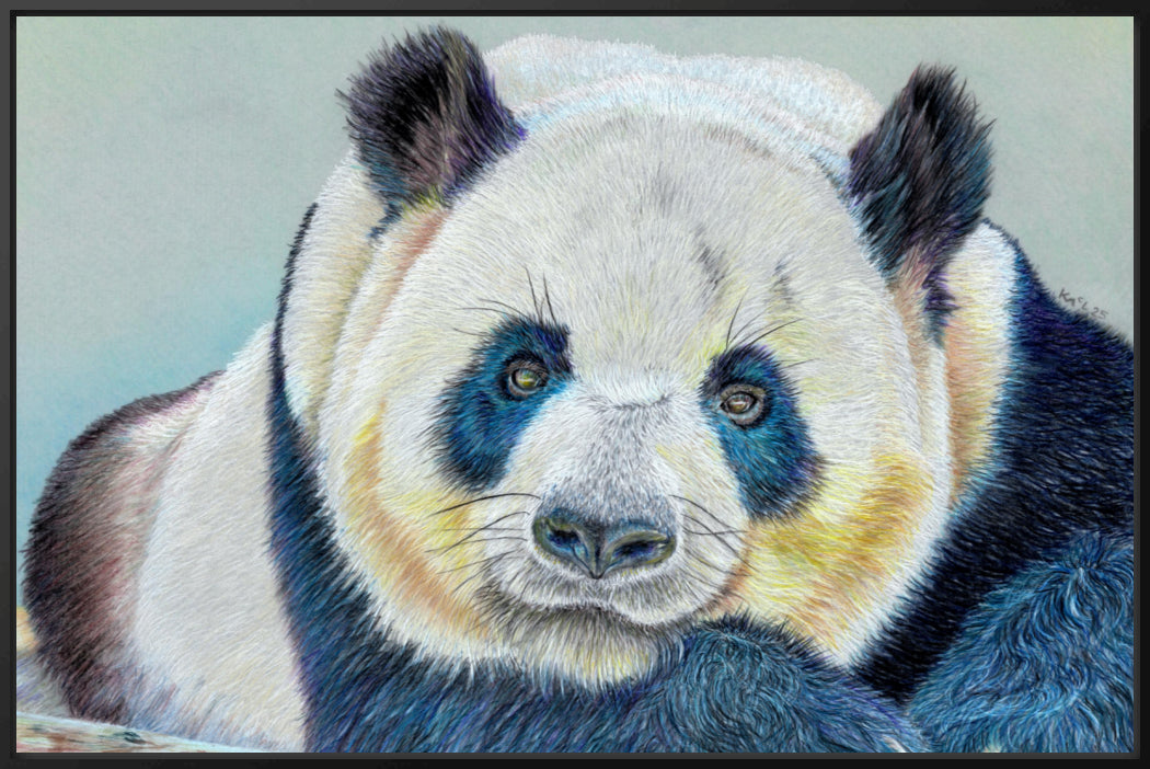 "Daydreamer" Canvas Print