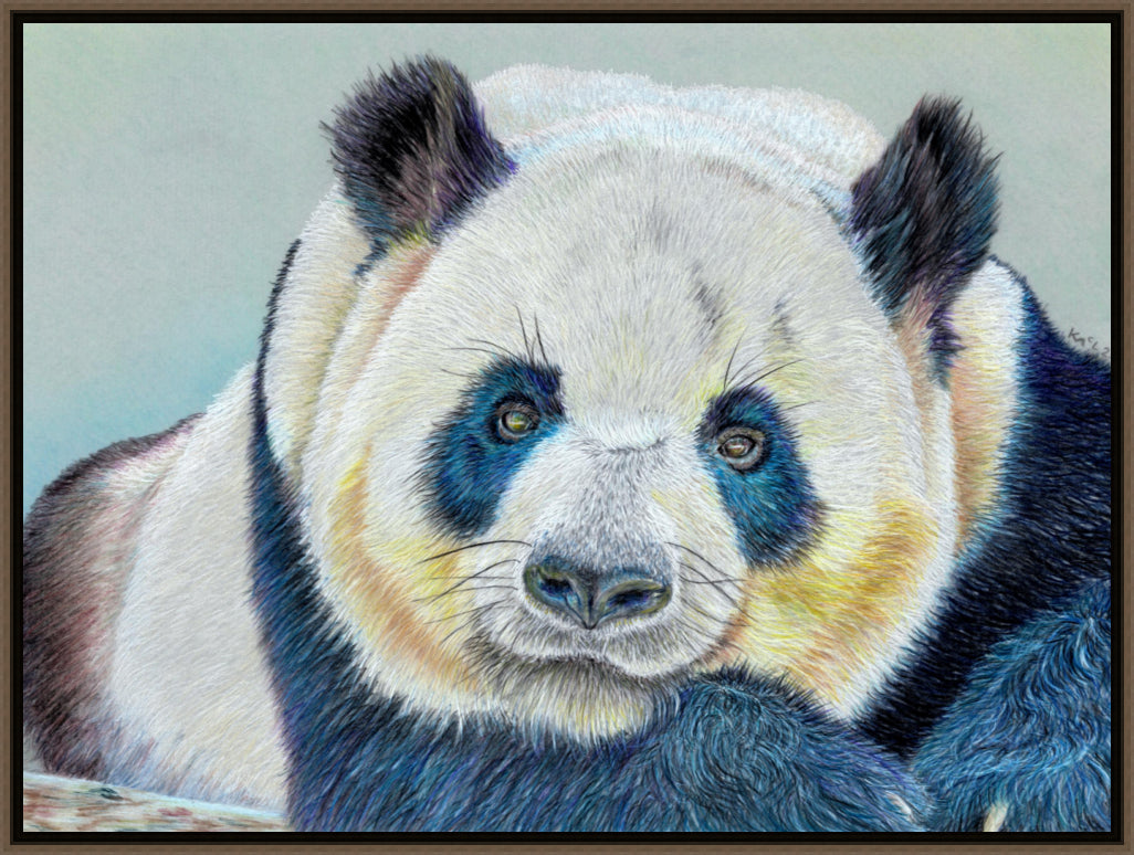 "Daydreamer" Canvas Print