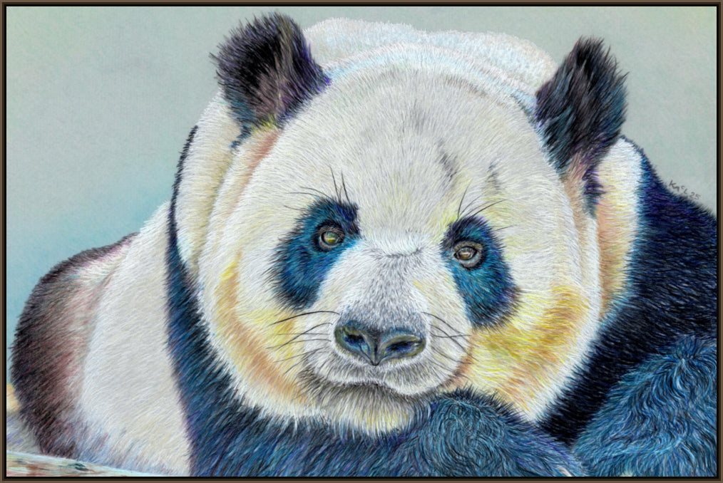 "Daydreamer" Canvas Print