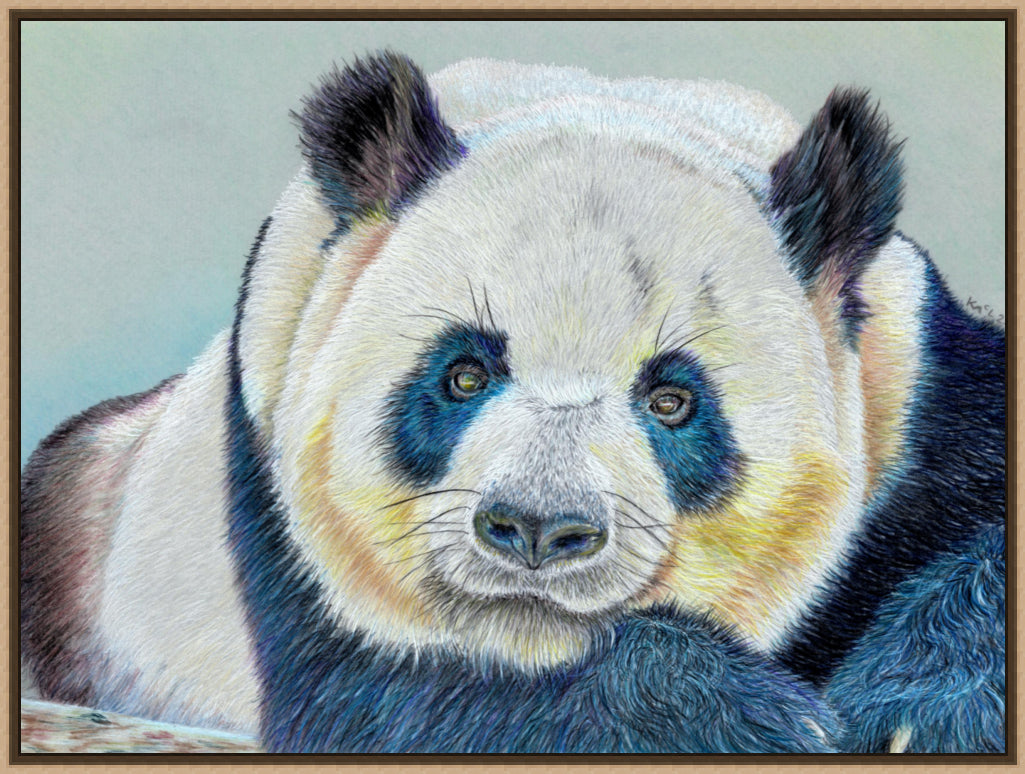 "Daydreamer" Canvas Print