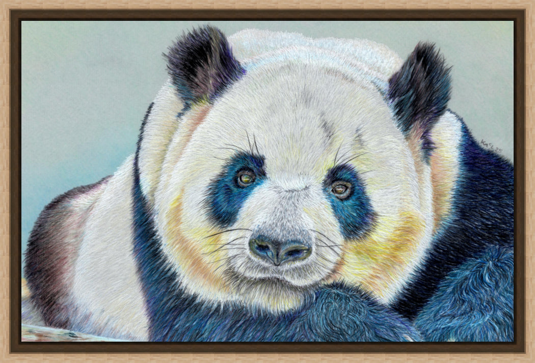 "Daydreamer" Canvas Print