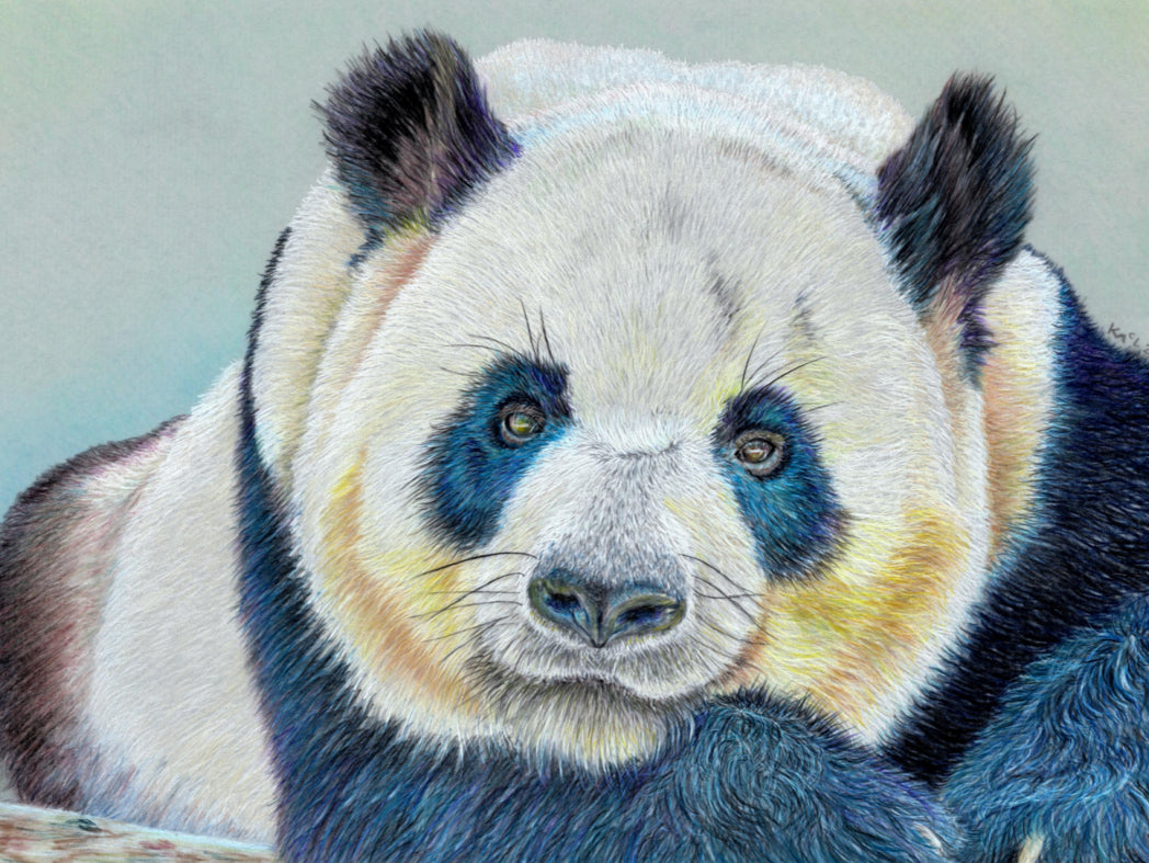 "Daydreamer" Canvas Print