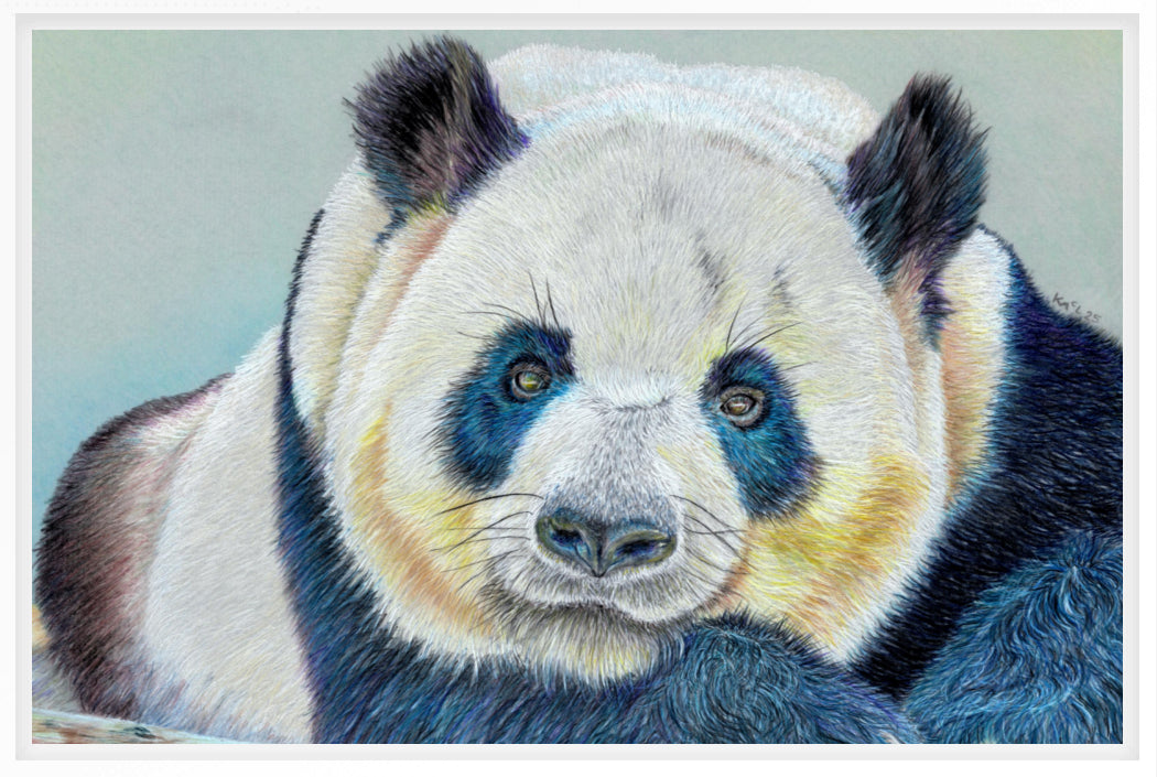 "Daydreamer" Canvas Print