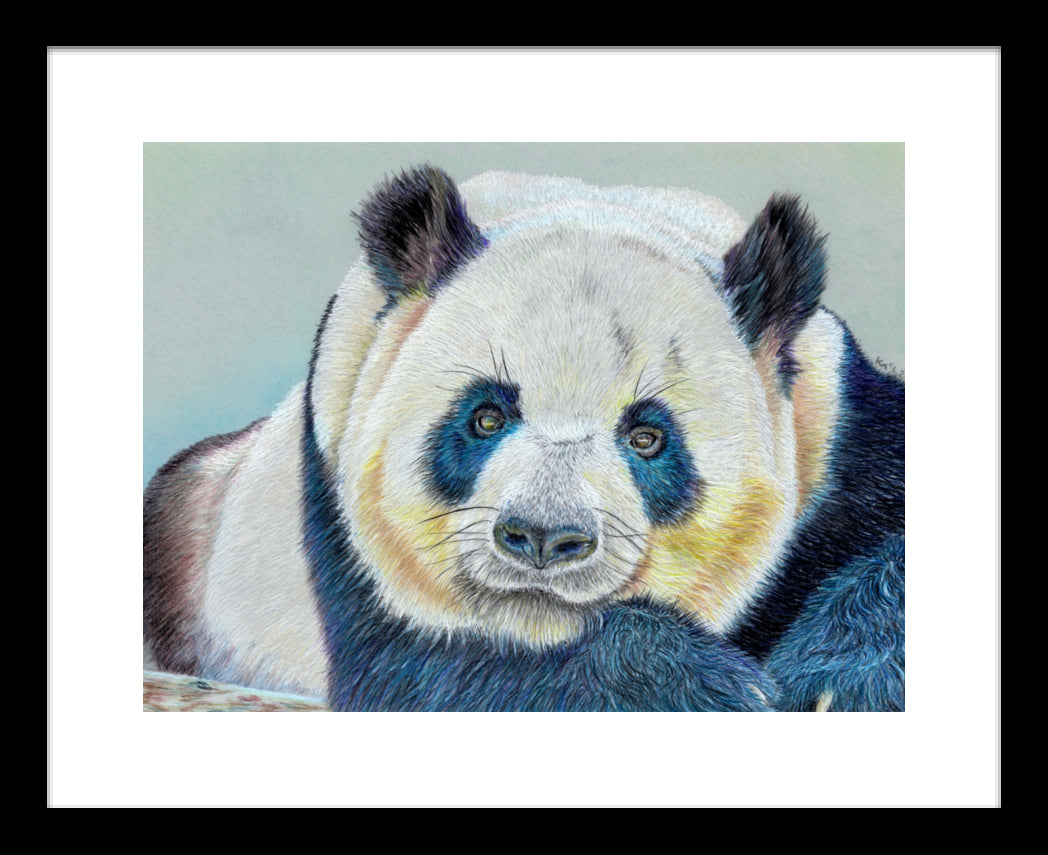 "Daydreamer" Framed Fine Art Print