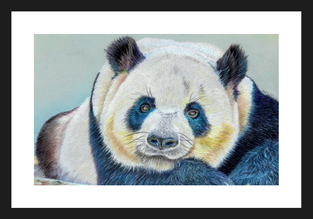 "Daydreamer" Framed Fine Art Print