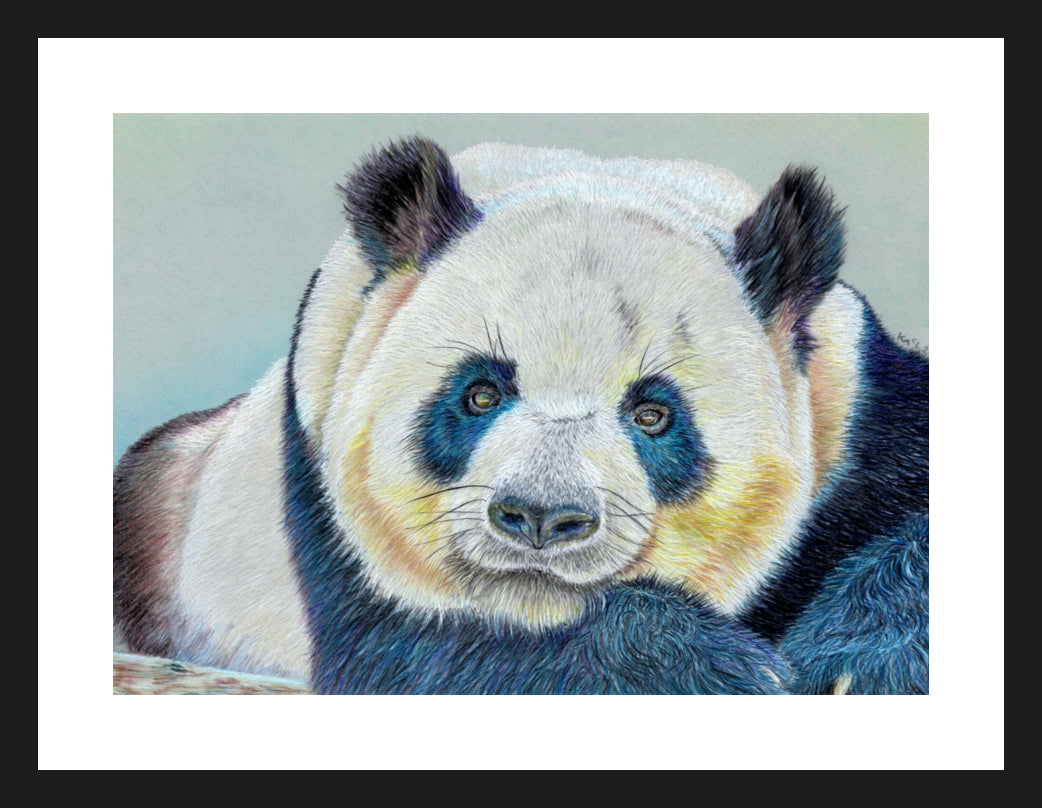 "Daydreamer" Framed Fine Art Print