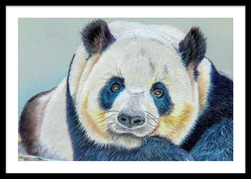 "Daydreamer" Framed Fine Art Print