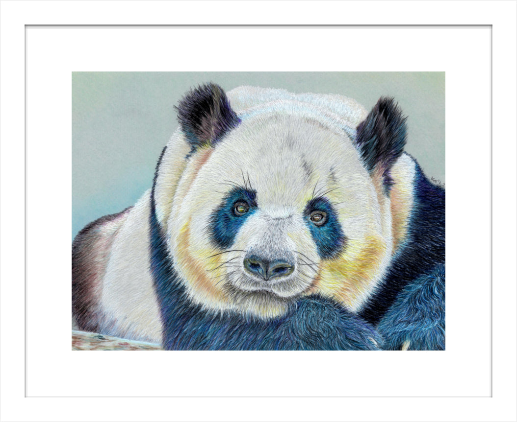 "Daydreamer" Framed Fine Art Print