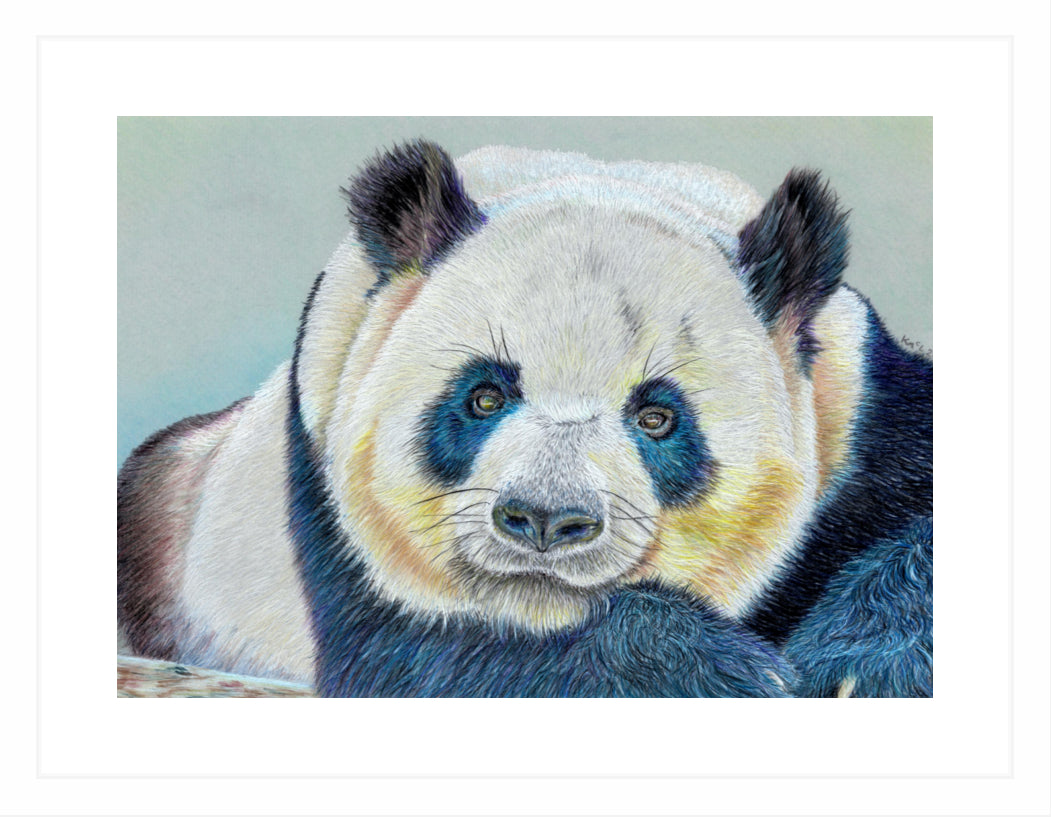 "Daydreamer" Framed Fine Art Print