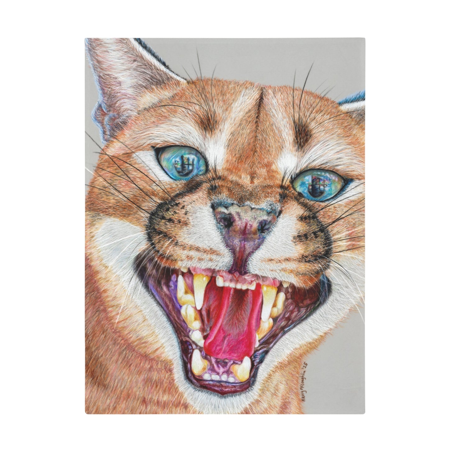 Dental Check Blanket