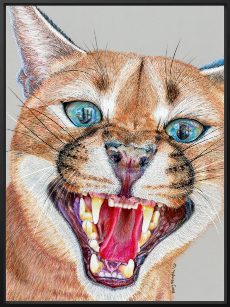 "Dental Check" Canvas Print