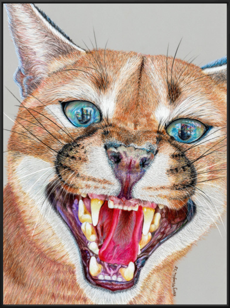 "Dental Check" Canvas Print