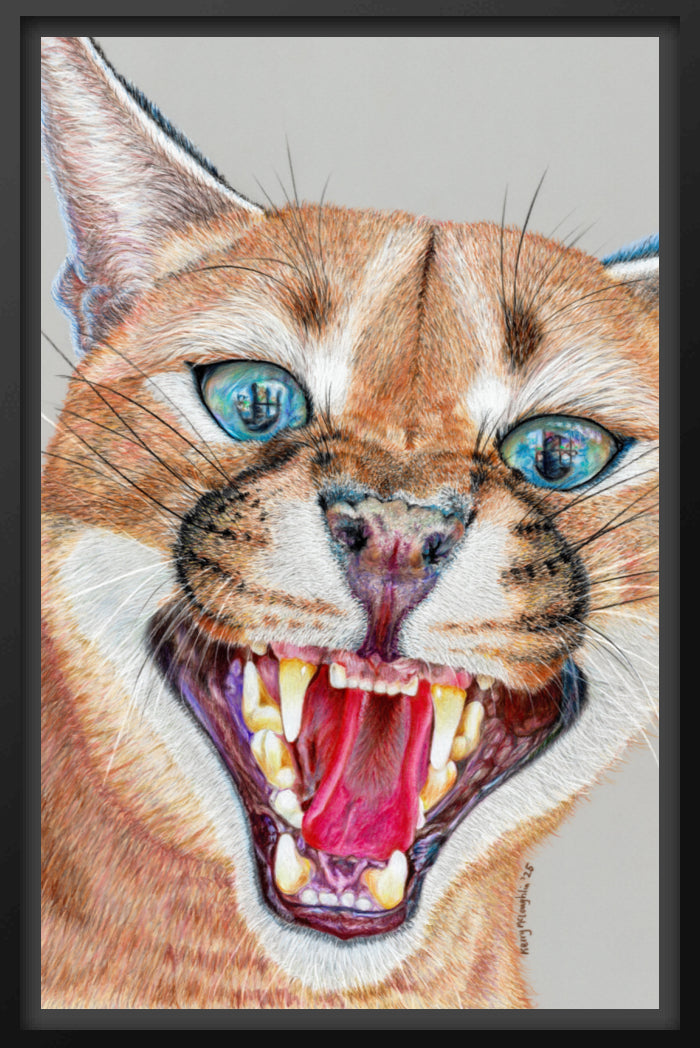 "Dental Check" Canvas Print