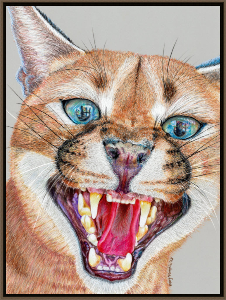 "Dental Check" Canvas Print