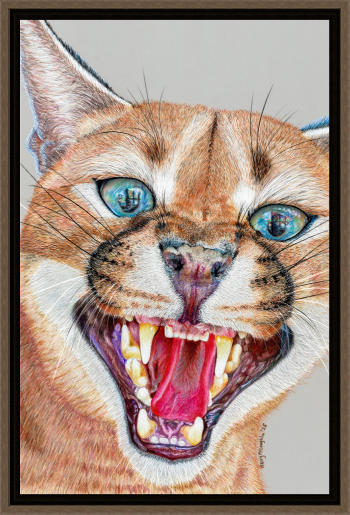 "Dental Check" Canvas Print