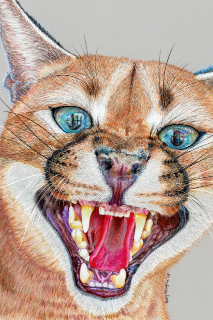 "Dental Check" Canvas Print