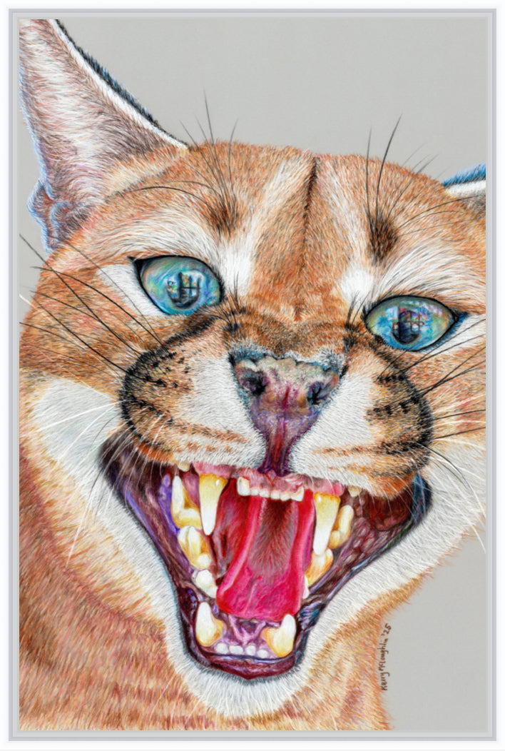 "Dental Check" Canvas Print