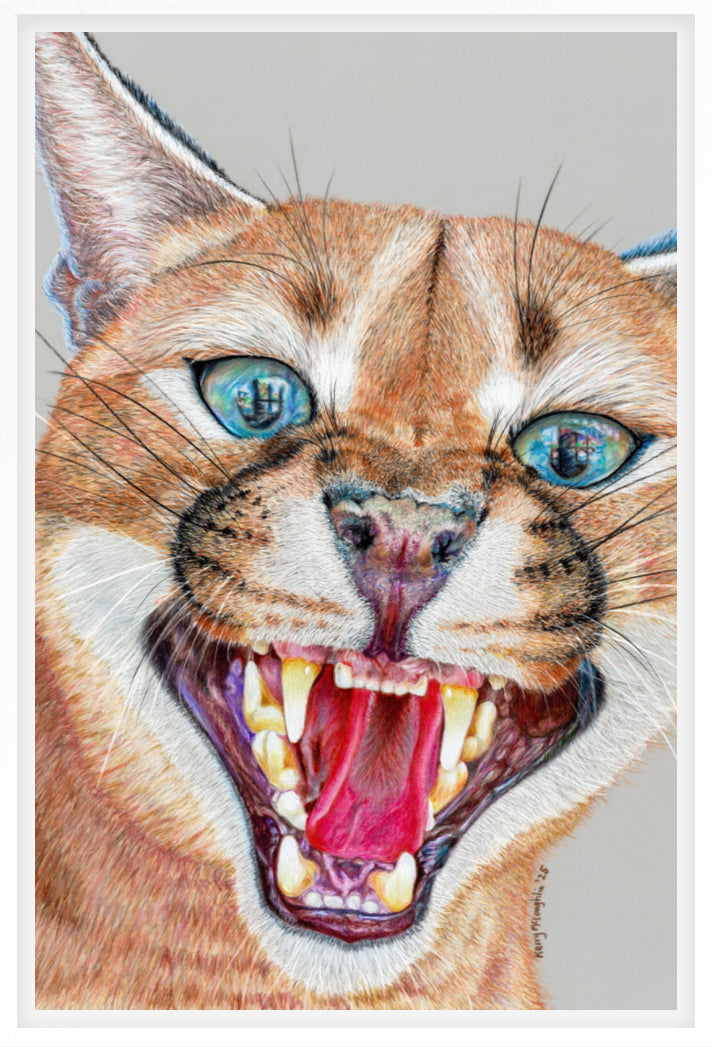 "Dental Check" Canvas Print