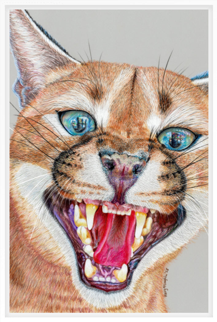 "Dental Check" Canvas Print