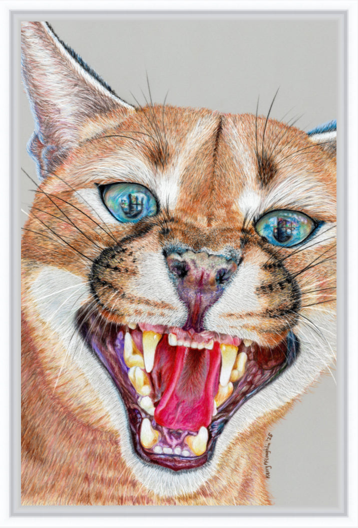 "Dental Check" Canvas Print