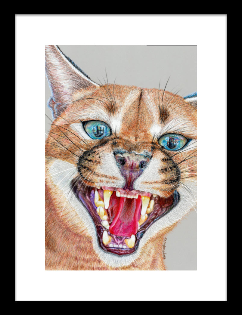 "Dental Check" Framed Fine Art Print