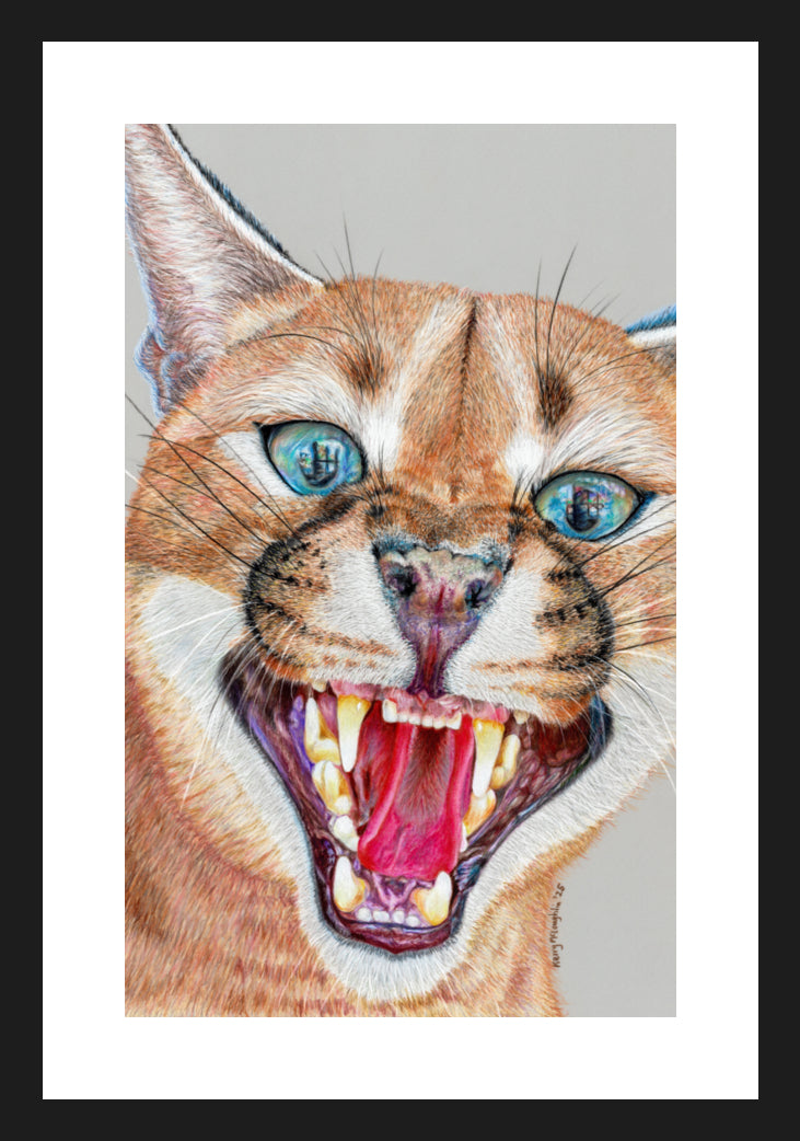 "Dental Check" Framed Fine Art Print