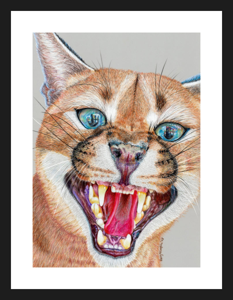 "Dental Check" Framed Fine Art Print