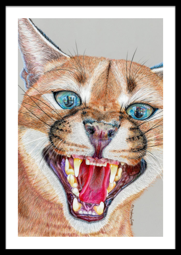 "Dental Check" Framed Fine Art Print