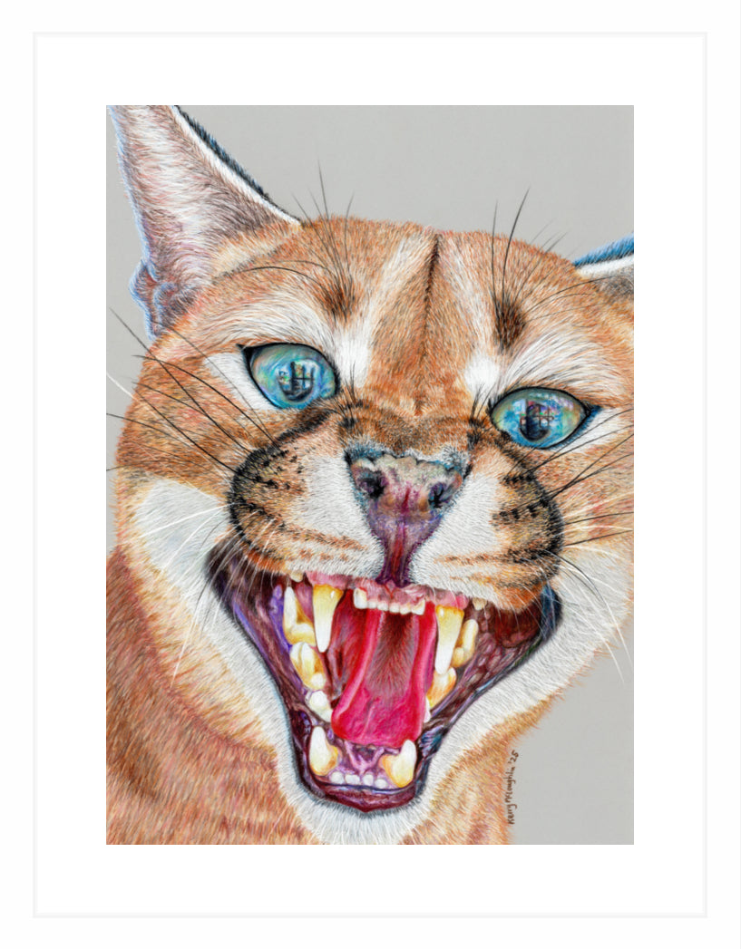 "Dental Check" Framed Fine Art Print