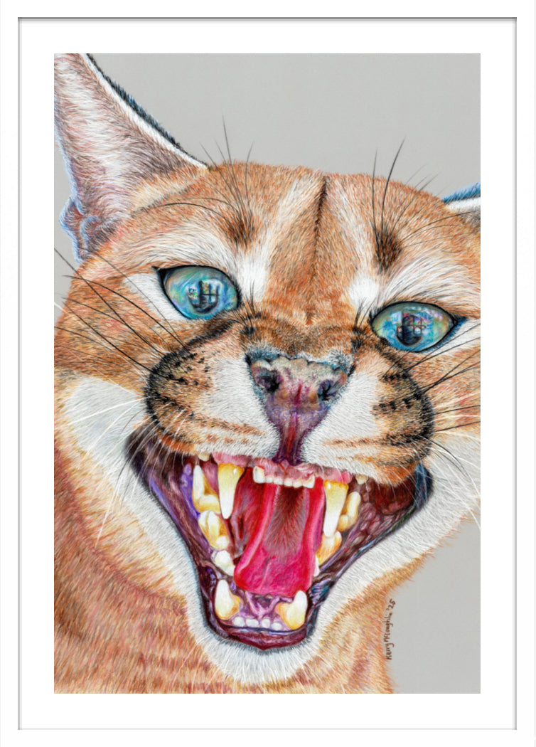 "Dental Check" Framed Fine Art Print