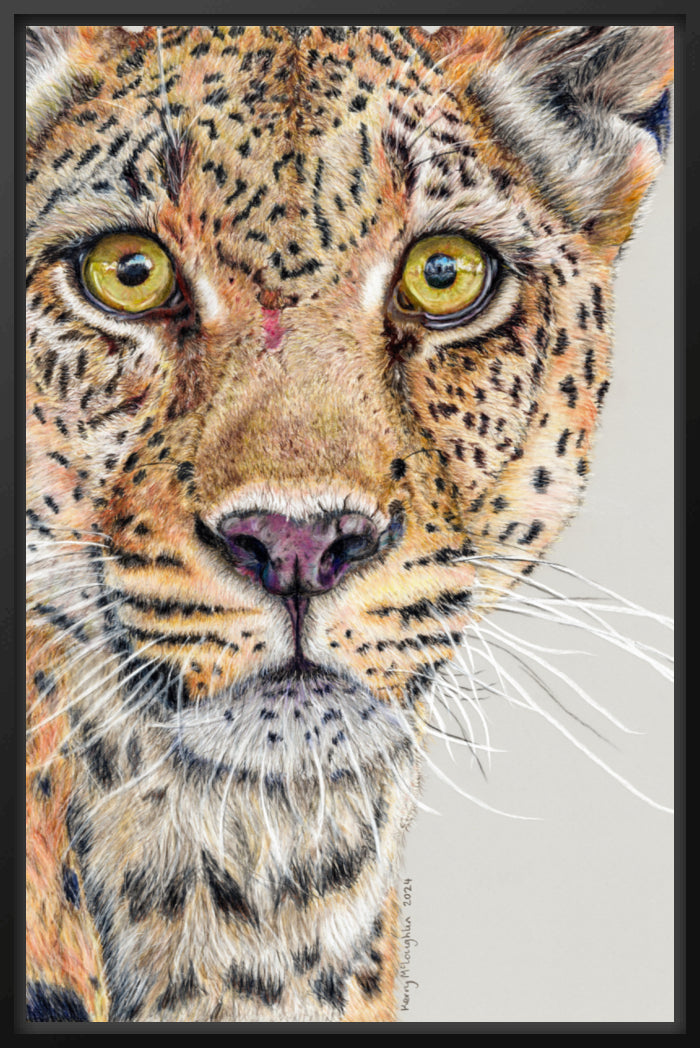 "Fight Or Flight" Canvas Print