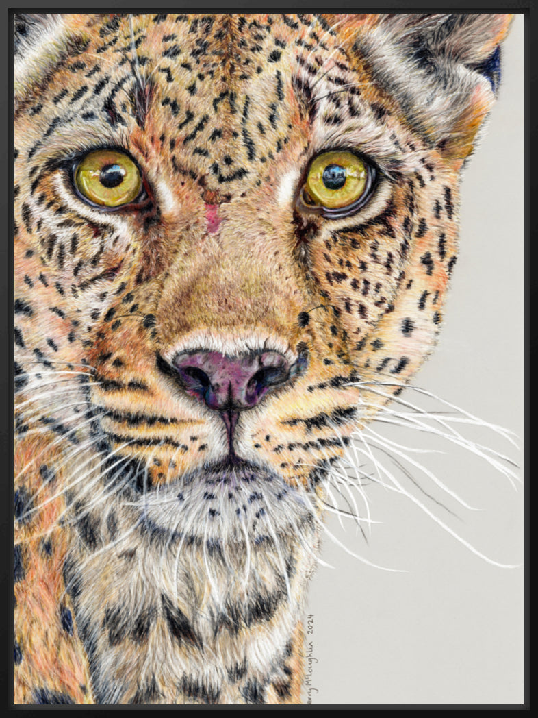 "Fight Or Flight" Canvas Print