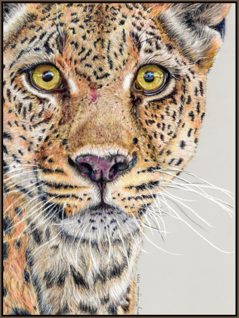 "Fight Or Flight" Canvas Print