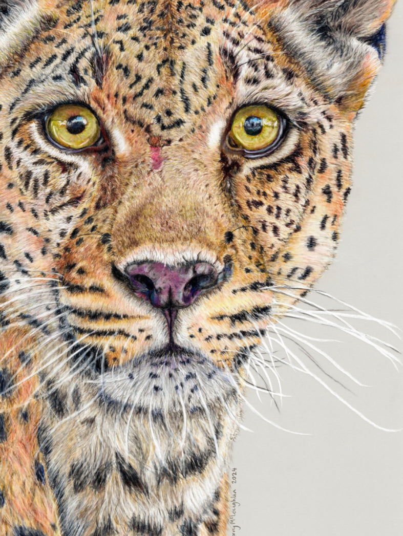 "Fight Or Flight" Canvas Print