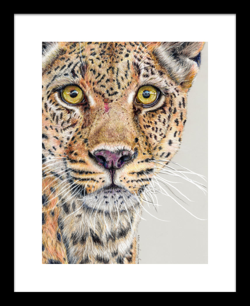 "Fight Or Flight" Framed Fine Art Print