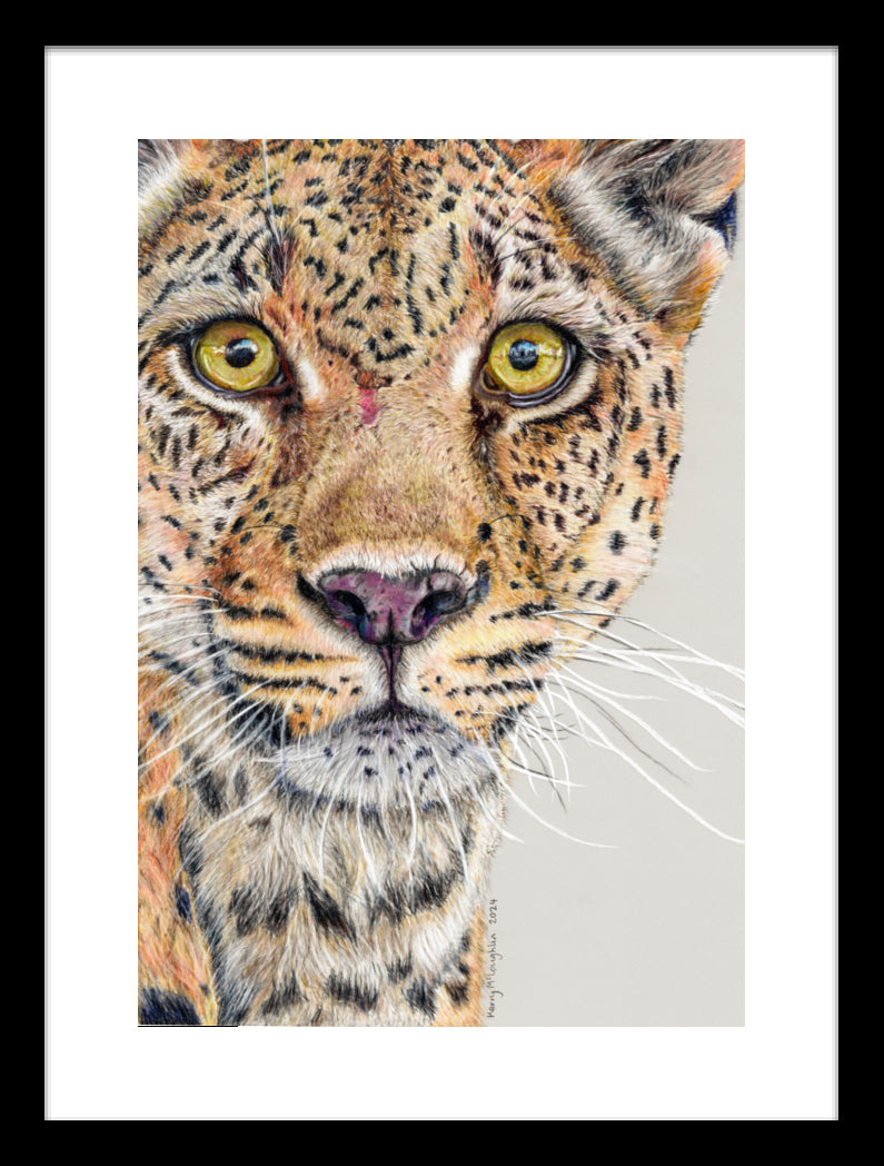 "Fight Or Flight" Framed Fine Art Print