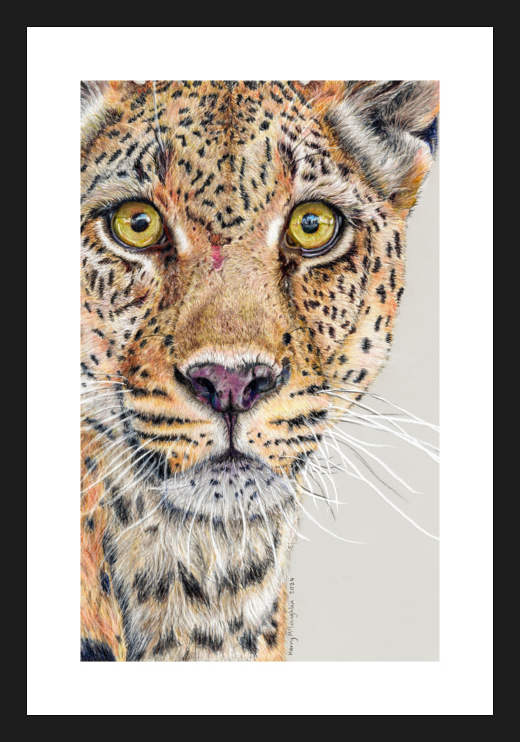 "Fight Or Flight" Framed Fine Art Print