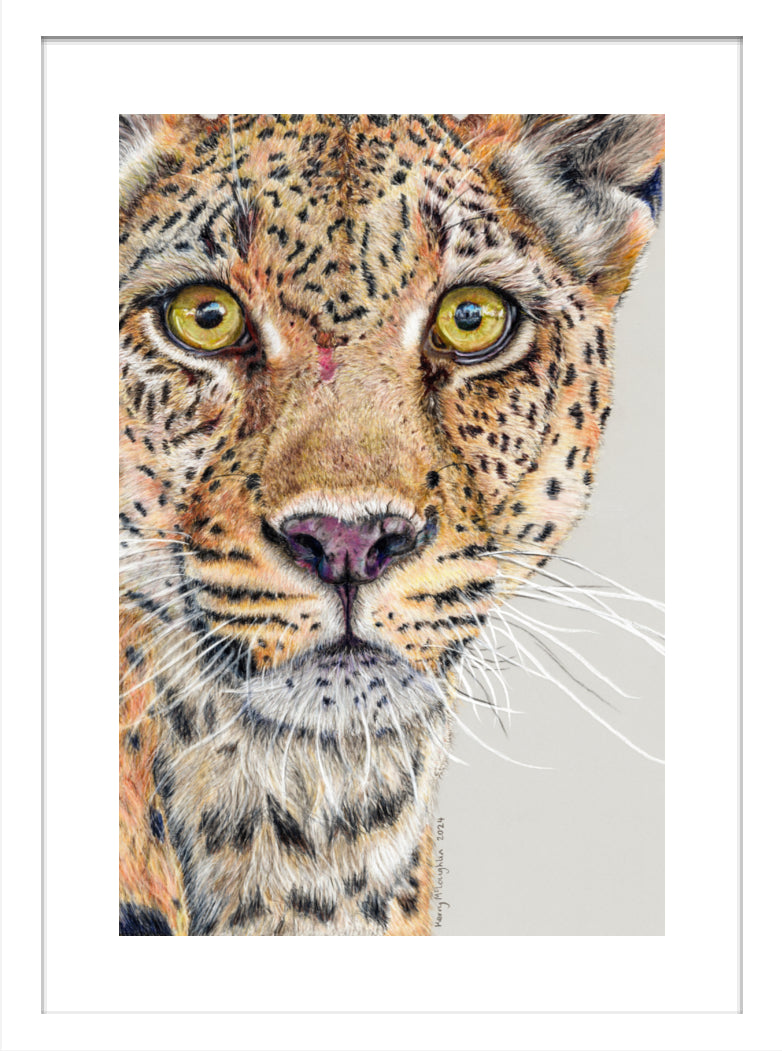 "Fight Or Flight" Framed Fine Art Print