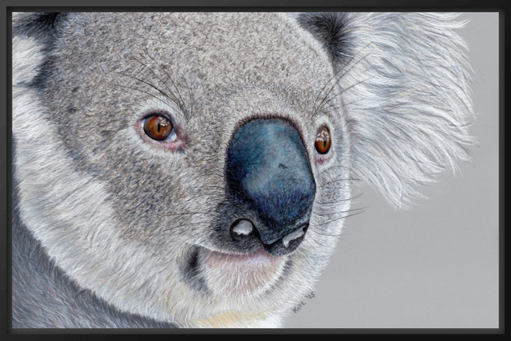 "Handsome" Canvas Print