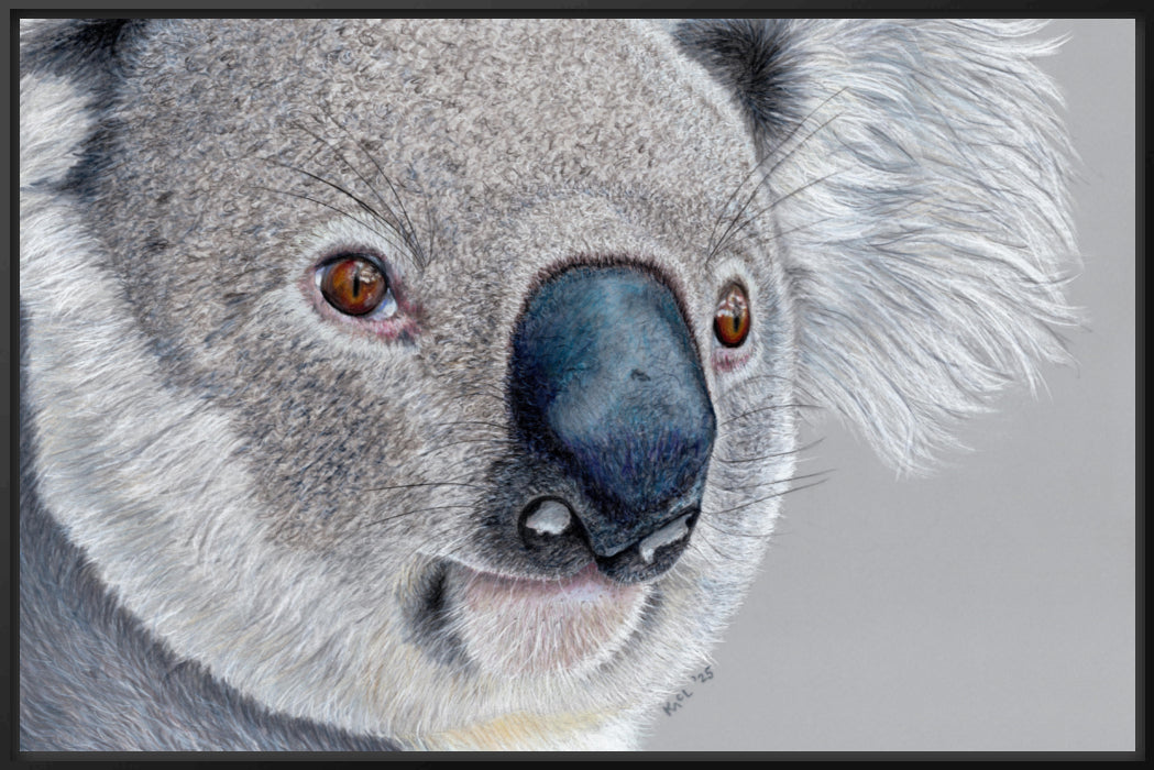 "Handsome" Canvas Print