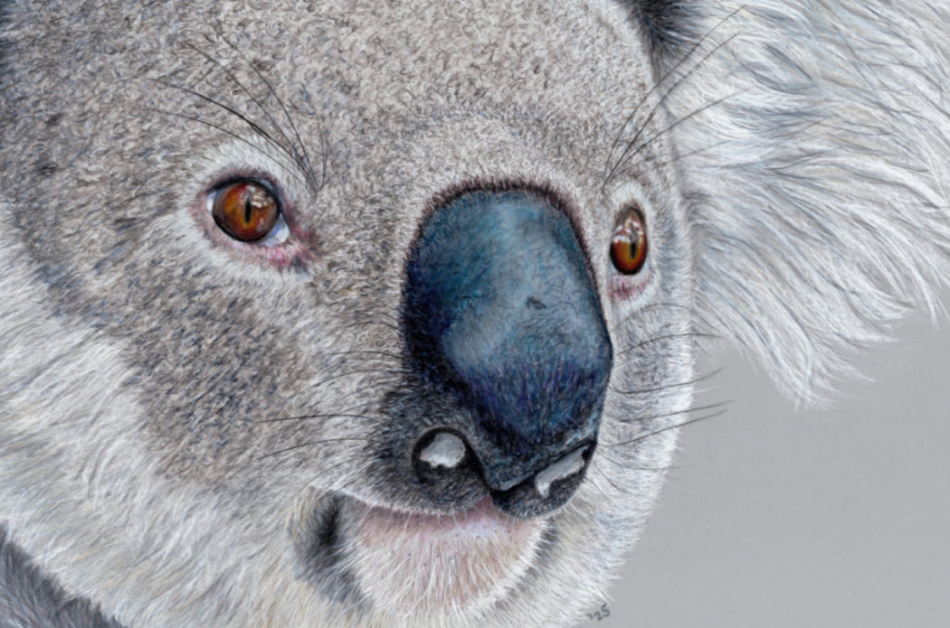 "Handsome" Canvas Print