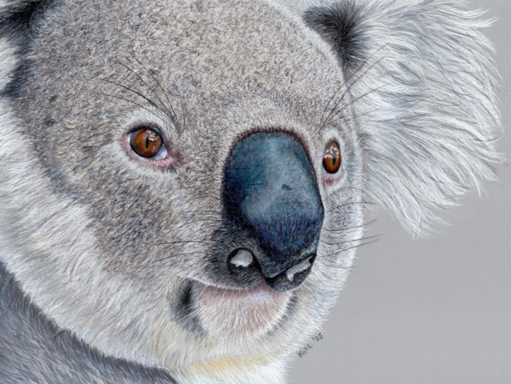 "Handsome" Canvas Print