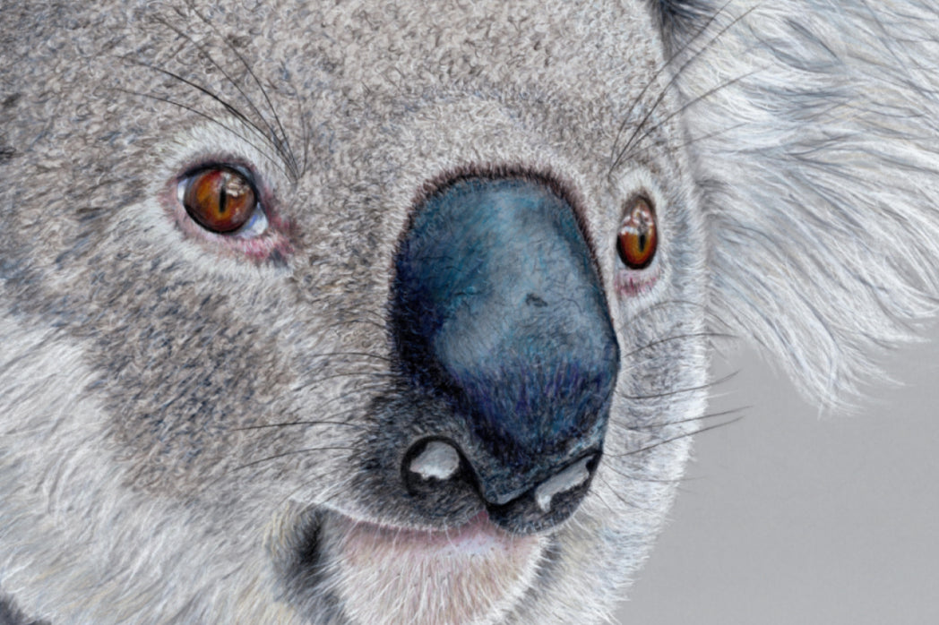 "Handsome" Canvas Print