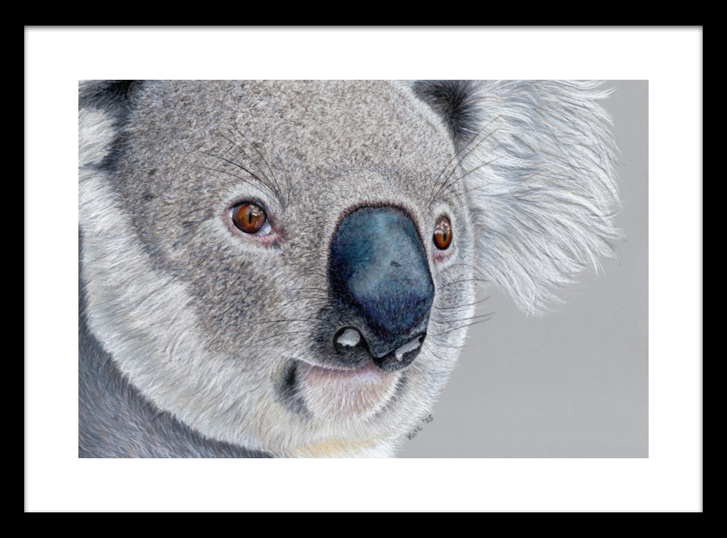 "Handsome" Framed Fine Art Print