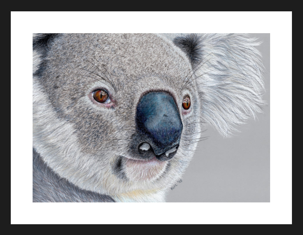 "Handsome" Framed Fine Art Print