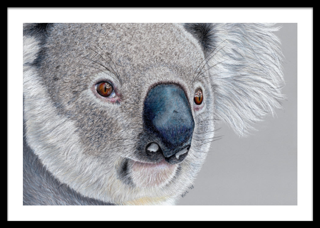 "Handsome" Framed Fine Art Print