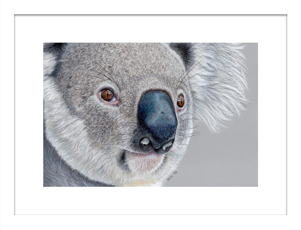 "Handsome" Framed Fine Art Print