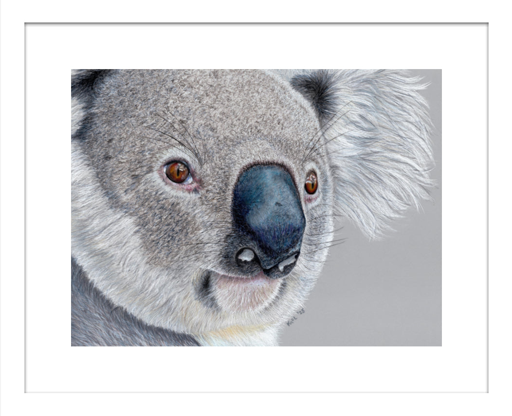 "Handsome" Framed Fine Art Print