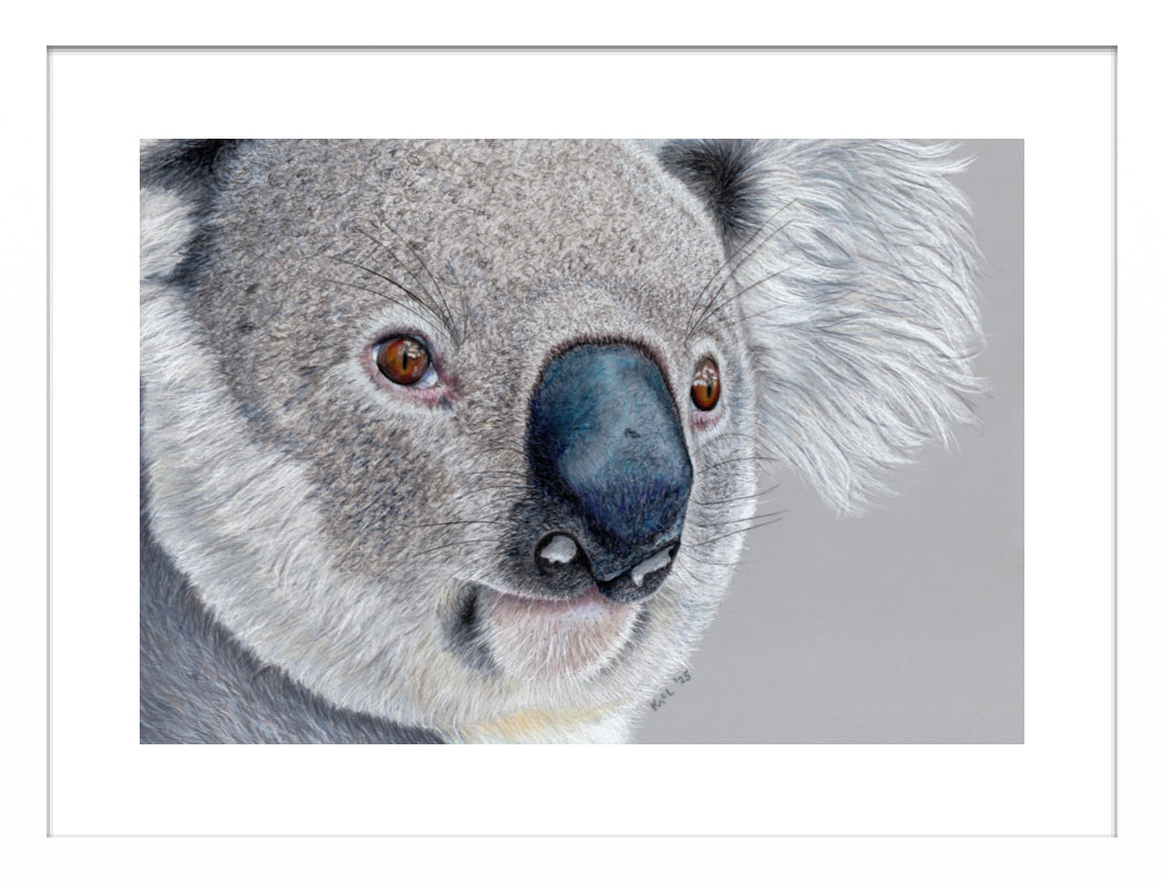 "Handsome" Framed Fine Art Print