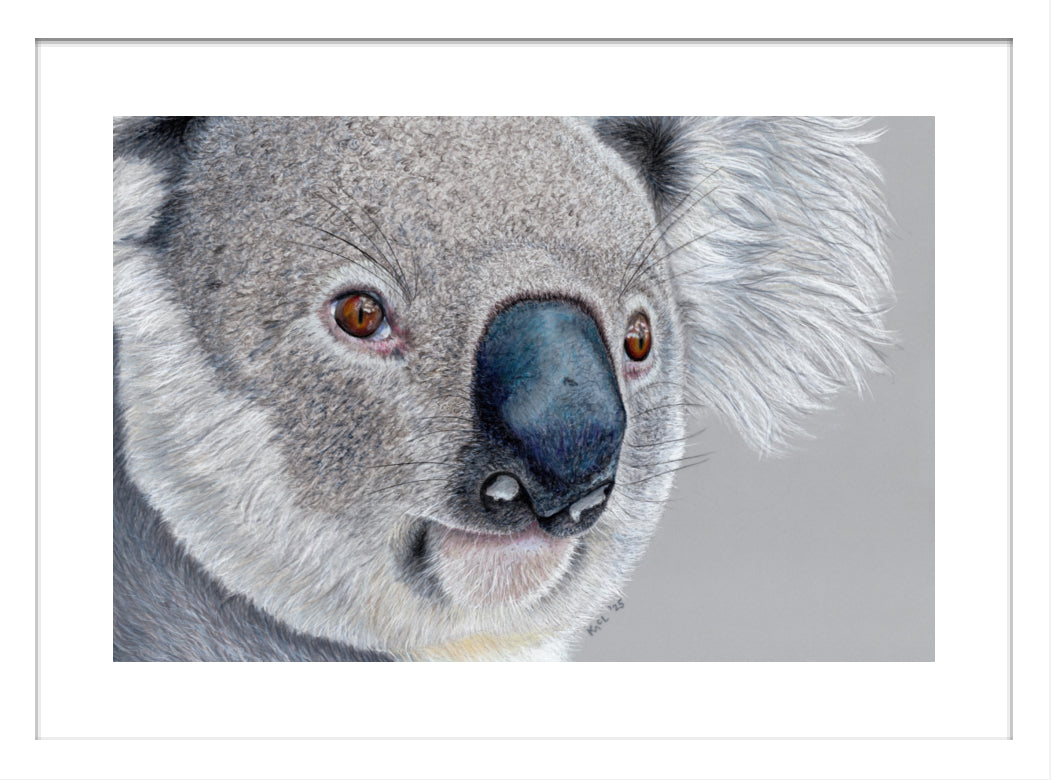 "Handsome" Framed Fine Art Print